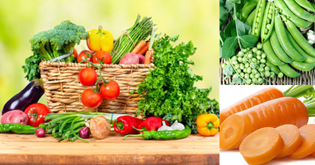 Comer frutas bem estar e saúde 21 alimentos que vão ajudá-la a perder peso